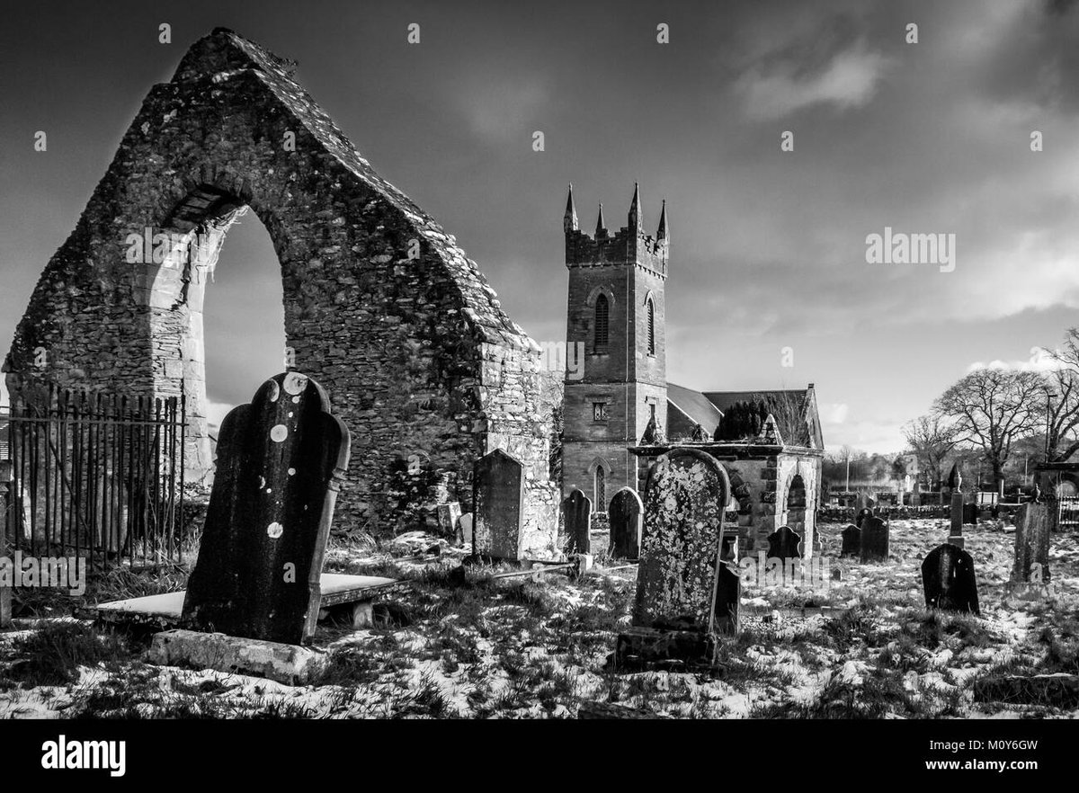 Nico Robins Age In Fullmetal Alchemist Brotherhood Is Not Applicable